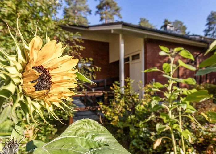 Ketunpesae Puijolla Lägenhet Kuopio